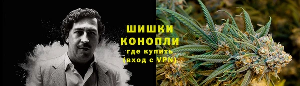 ПСИЛОЦИБИНОВЫЕ ГРИБЫ Богданович
