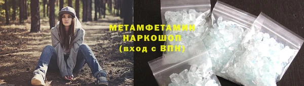 ПСИЛОЦИБИНОВЫЕ ГРИБЫ Богданович