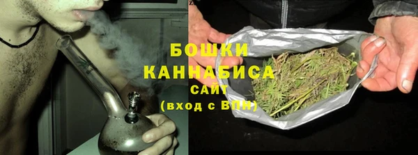 ПСИЛОЦИБИНОВЫЕ ГРИБЫ Богданович