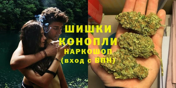 сатива Богородицк