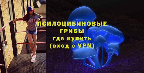 ПСИЛОЦИБИНОВЫЕ ГРИБЫ Богданович
