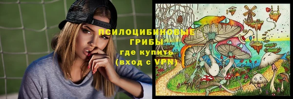 ПСИЛОЦИБИНОВЫЕ ГРИБЫ Богданович