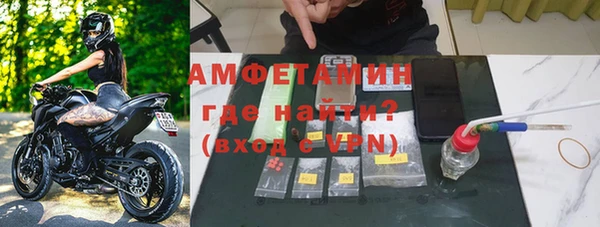 ПСИЛОЦИБИНОВЫЕ ГРИБЫ Богданович