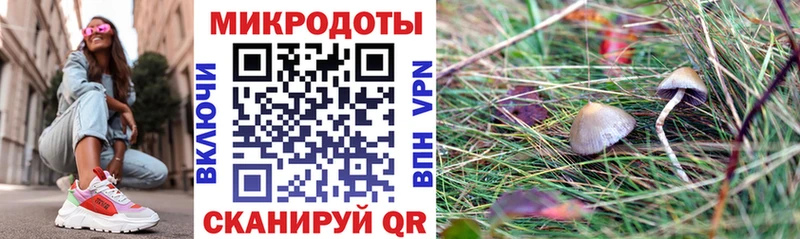 Псилоцибиновые грибы Cubensis Электрогорск